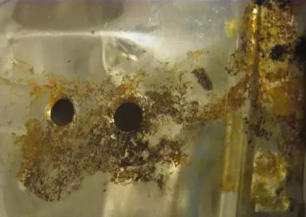 为什么不锈钢也会生锈?原因在这里面